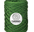 Caramel Bonsaï 8039