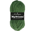 Big Dream 507 Vert